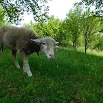 Korkostolo Vendeghazak *
