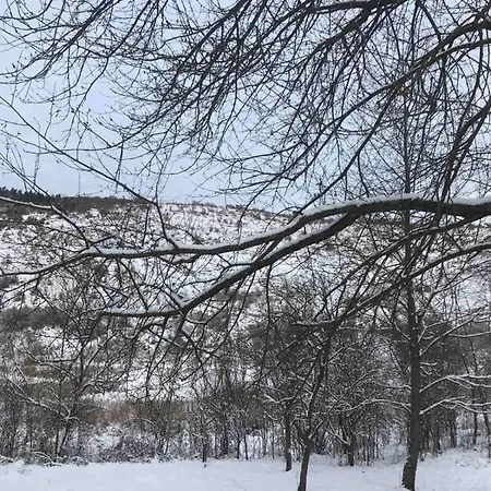 Korkostolo Vendeghazak