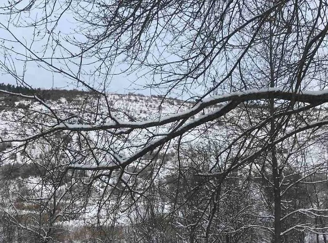 Korkostolo Vendeghazak